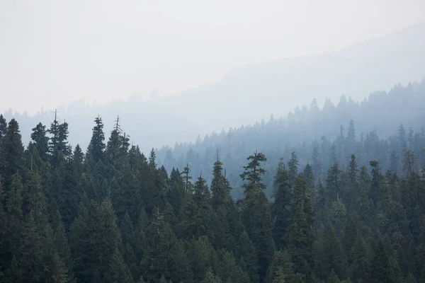 威拉米特国家森林找克威火灾中的烟雾覆盖山脉. 图库图片