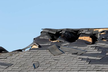 Springfield Oregon kundaklama kendi hayatını çekmeden önce silahlı bir saldırgan tarafından