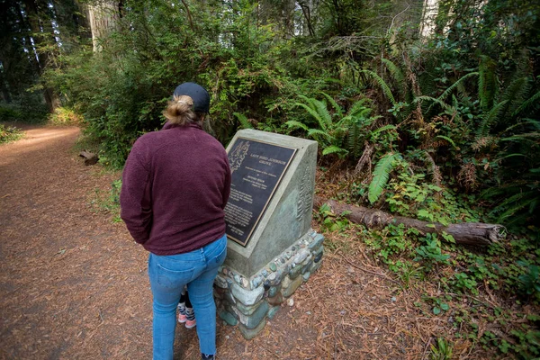 Lady Bird Johnson Grove Trail i California Redwoods nationella Pa — Stockfoto