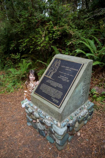 Lady Bird Johnson Grove Trail in California Redwoods nationale Pa — Stockfoto