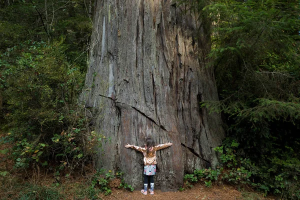 Bambini escursionismo a Lady Bird Johnson Grove Trail California Redwoods — Foto Stock