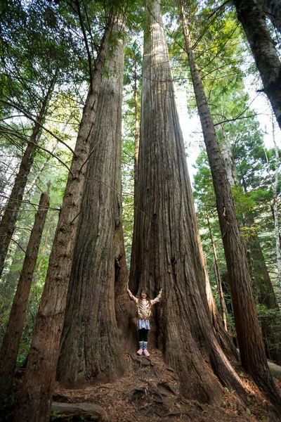 Bambini escursionismo a Lady Bird Johnson Grove Trail California Redwoods — Foto Stock