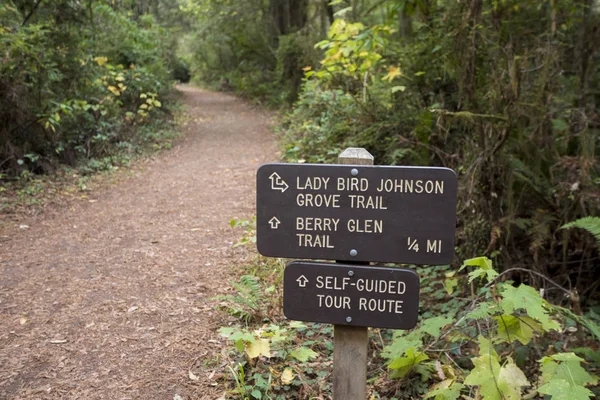 伯德·约翰逊夫人小道在加州红杉国家公园在该州西北角. 图库照片