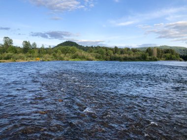 Mayıs ayında Mckenzie Nehri Oregon Fly Balıkçılık Trip