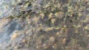 Oregon 'daki McKenzie Nehri boyunca 2020' de Blue River 'ı vuran Holiday Farm Fire bölgesinde bir sürü nehir kayası var. Yüksek kaliteli FullHD görüntüler