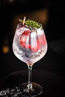 Meyve ve baharatlı taze cin tonik.