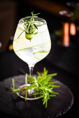 Meyve ve baharatlı taze cin tonik.