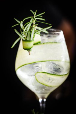 Meyve ve baharatlı taze cin tonik.