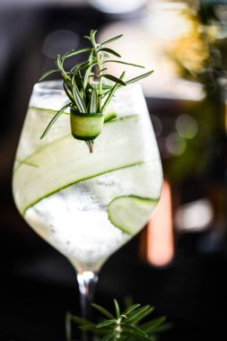 Meyve ve baharatlı taze cin tonik.