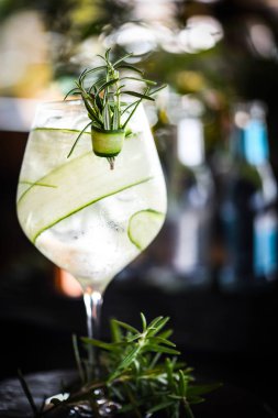 Meyve ve baharatlı taze cin tonik.