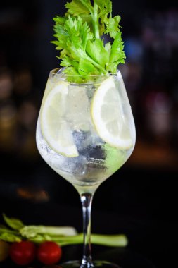 Taze meyve ve baharatlı tonik cin içeceği