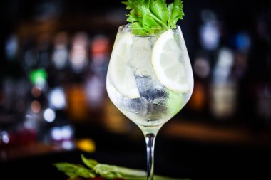 Taze meyve ve baharatlı tonik cin içeceği