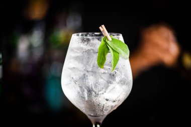 Taze meyve ve baharatlı tonik cin içeceği