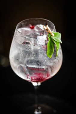 Taze meyve ve baharatlı tonik cin içeceği