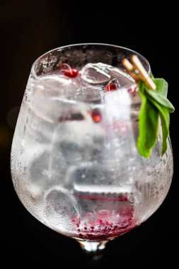 Taze meyve ve baharatlı tonik cin içeceği