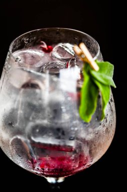 Taze meyve ve baharatlı tonik cin içeceği