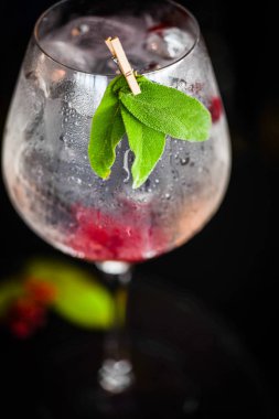 Taze meyve ve baharatlı tonik cin içeceği