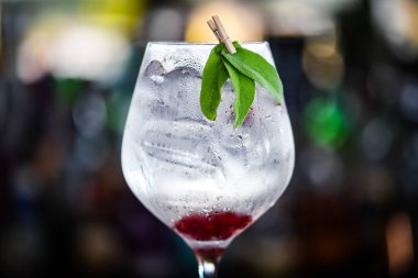 Taze meyve ve baharatlı tonik cin içeceği