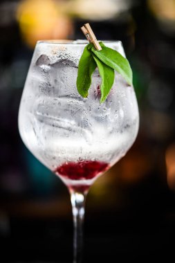 Taze meyve ve baharatlı tonik cin içeceği