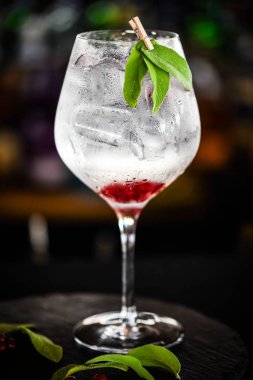 Taze meyve ve baharatlı tonik cin içeceği