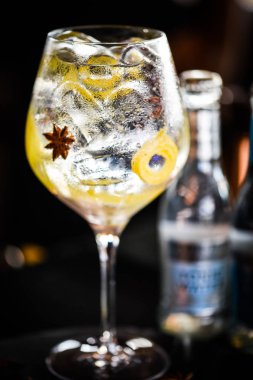 Taze meyve ve baharatlı tonik cin içeceği