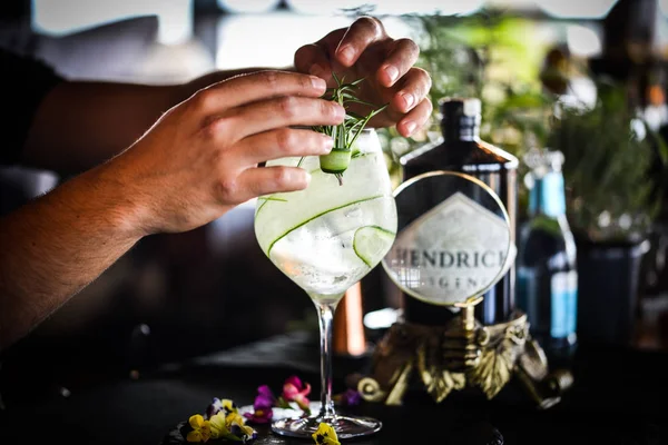 Meyve ve baharatlı taze cin tonik.