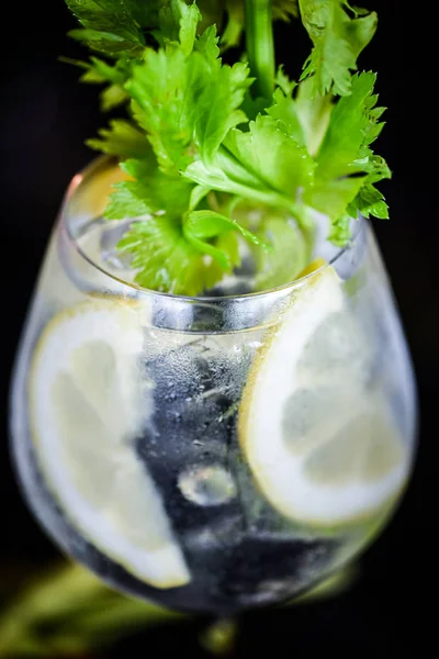Tonic Gin Drank Met Vers Fruit Specerijen — Stockfoto