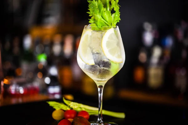 Tonic Gin Dryck Med Färska Frukter Och Kryddor — Stockfoto