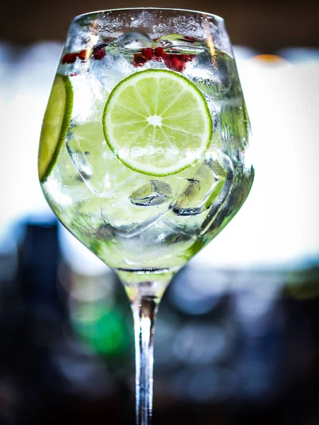 Tonic Gin Drank Met Vers Fruit Specerijen — Stockfoto