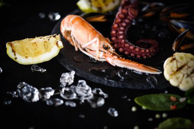 ızgara limon ve sarımsaklı taze deniz ürünleri - ahtapot, karides, kalamar, kabuk