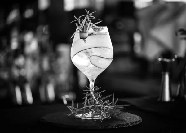 Tonic Gin Dryck Med Färska Frukter Citroner Anis Blåbär Röda — Stockfoto