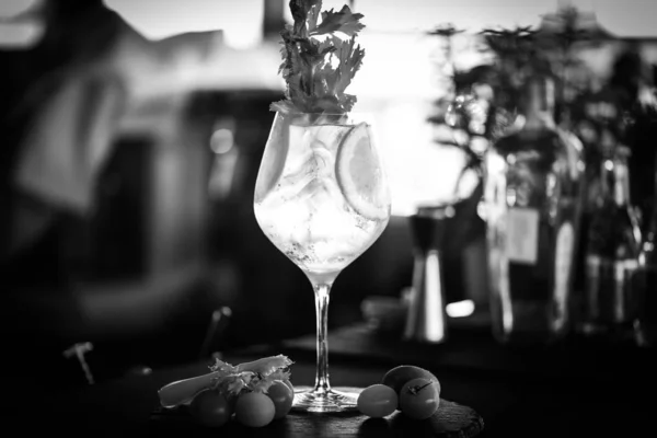 Tonikový Gin Čerstvým Ovocem Citróny Anýzem Borůvkami Červenými Bobulemi Ananasem — Stock fotografie