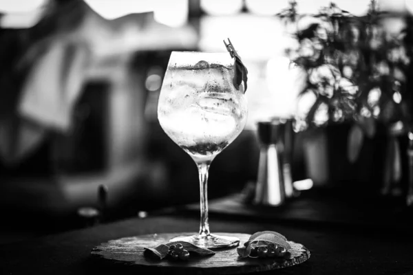 Tonic Gin Dryck Med Färska Frukter Citroner Anis Blåbär Röda — Stockfoto