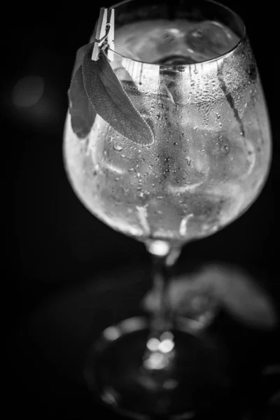 Tonic Gin Getränk Mit Frischen Früchten Zitronen Anis Blaubeeren Roten — Stockfoto