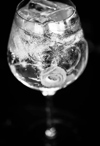 Bevanda Tonica Gin Con Frutta Fresca Limoni Anice Mirtillo Bacca — Foto Stock