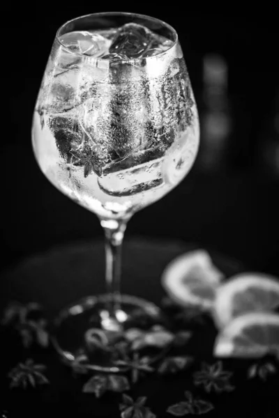 Τονωτικό Gin Ποτό Φρέσκα Φρούτα Λεμόνια Γλυκάνισο Μύρτιλο Κόκκινο Μούρο — Φωτογραφία Αρχείου