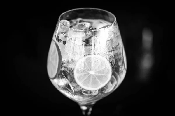 Tonic Gin Dryck Med Färska Frukter Citroner Anis Blåbär Röda — Stockfoto