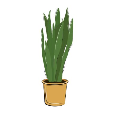 Beyaz arka planda izole edilmiş tenceredeki vektör yeşil bitki. El yapımı bitki. Poster, afiş, kart, etiket