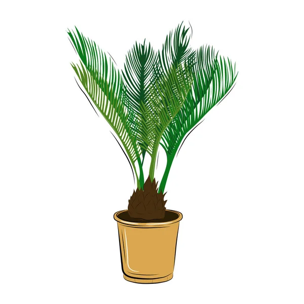 Elemento Design Vetorial Planta Vaso Planta Verde Desenhada Mão Para — Vetor de Stock