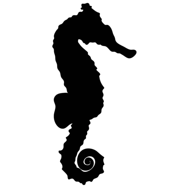 Vektorozeanische Tiersilhouette Isoliert Seepferdchen Design Für Druck Einladung Karte Banner — Stockvektor