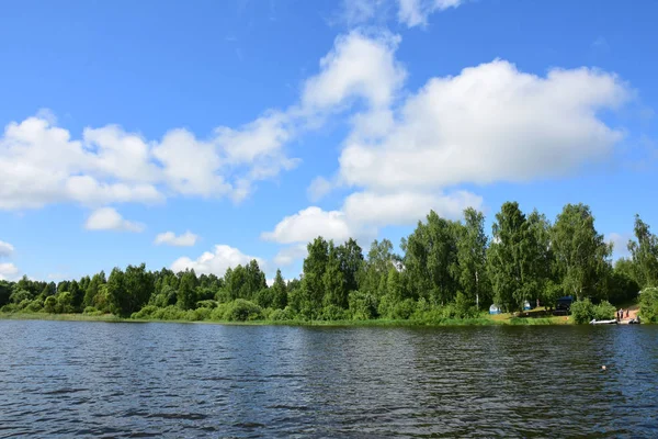 Березі Озера Вид Води Ясний Літній День — стокове фото