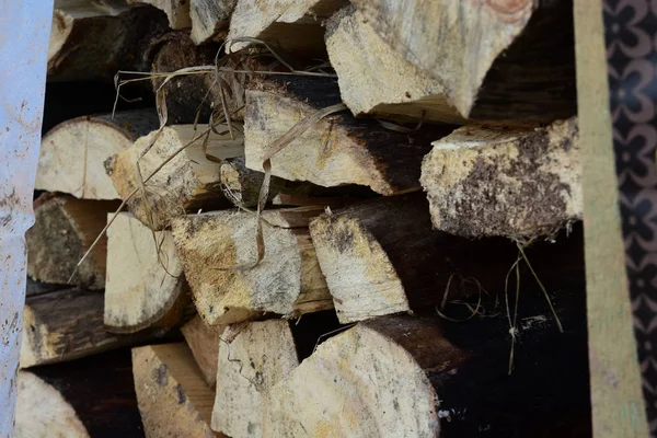 Wood close-up. Woodpile.