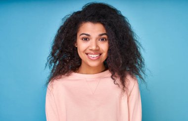 Siyah saçlı, güzel bir kadın modelin portresi, Afro saç kesimi, nazik bir gülümseme, günlük bir kazak giymiş, doğrudan kameraya bakıyor, mavi bir stüdyo duvarında fotoğraf için poz veriyor. Etnolar.