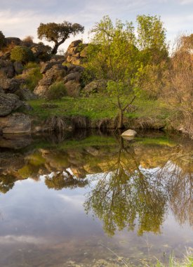 Cornalvo Doğal Parkı, El Rugidero İlkbaharda