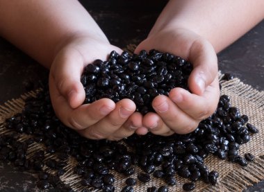 Bir avuç kahve çekirdeği ikram eden eller.