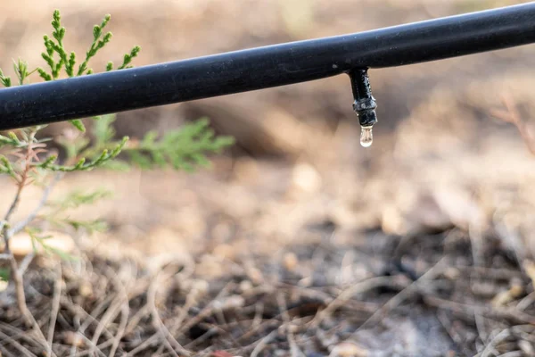 Damlatma Sulama Sistemi Kapat