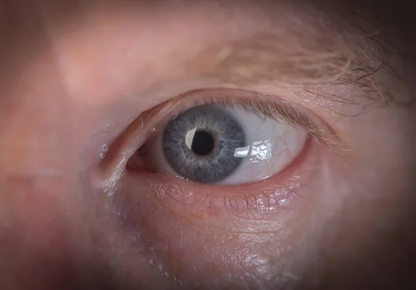 human eye close-up pupil cornea.