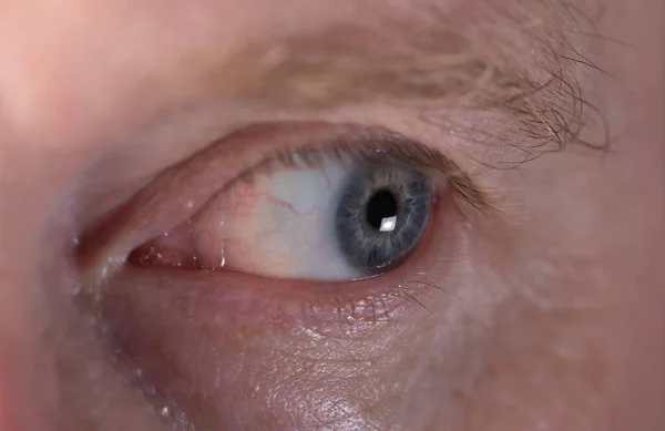 human eye close-up pupil cornea.