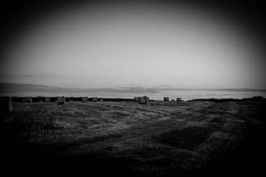 Gün batımında bir tarlada saman ruloları.