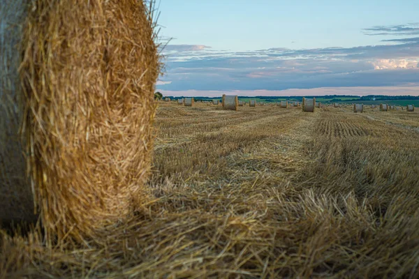 Sodrott Szalmatekercs Mezőn Naplementekor — Stock Fotó